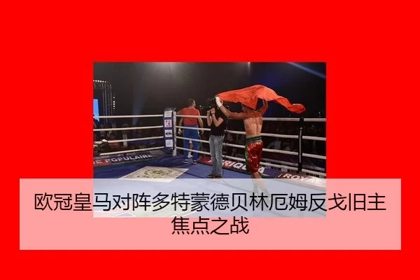ou-guan-huang-ma-dui-zhen-duo-te-meng-de-bei-lin-e-mu-fan-ge-jiu-zhu-jiao-dian-zhi-zhan-2-679.jpg
