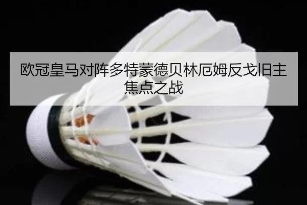 ou-guan-huang-ma-dui-zhen-duo-te-meng-de-bei-lin-e-mu-fan-ge-jiu-zhu-jiao-dian-zhi-zhan-3-398.jpg
