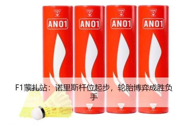 F1蒙扎站：诺里斯杆位起步，轮胎博弈成胜负手