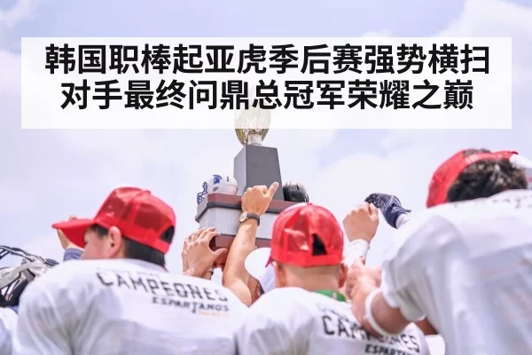 韩国职棒起亚虎季后赛强势横扫对手最终问鼎总冠军荣耀之巅