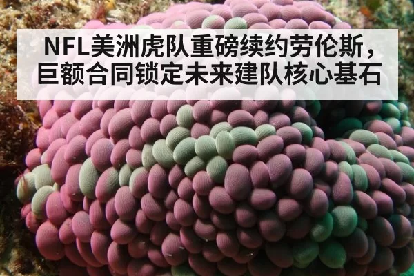 NFL美洲虎队重磅续约劳伦斯，巨额合同锁定未来建队核心基石