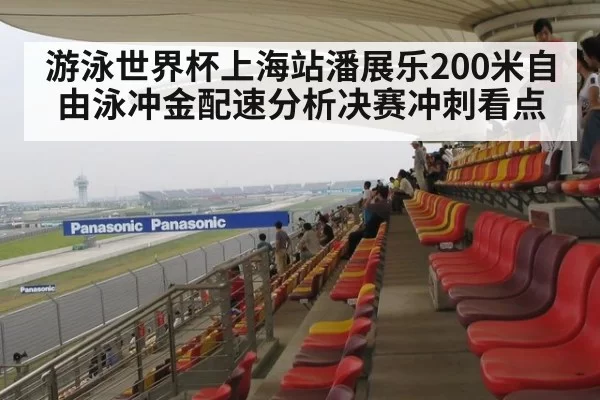游泳世界杯上海站潘展乐200米自由泳冲金配速分析决赛冲刺看点
